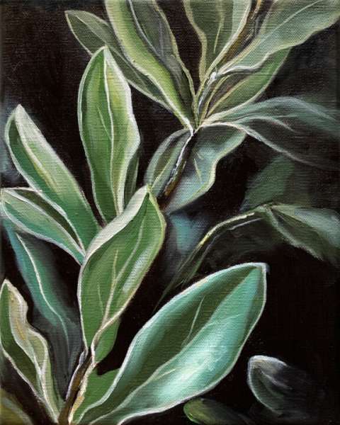 Soliloquio del Laurel